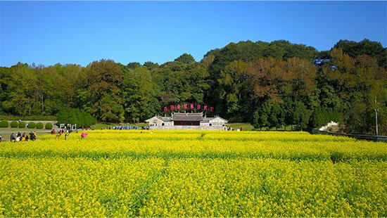 以下内容与「ky电竞官方网站