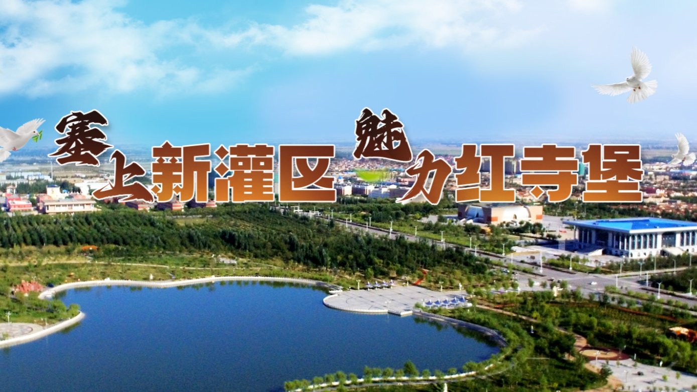 以体彩之力赋能体育事业蓬勃发展
