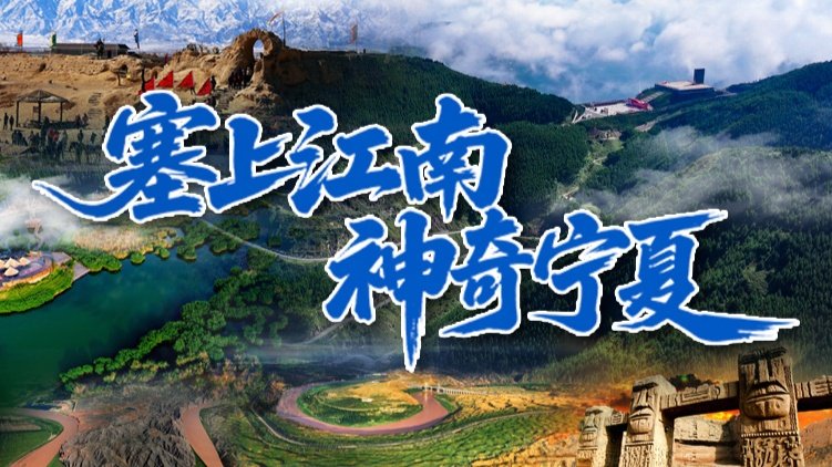 精准聚焦宁夏体彩最新动态