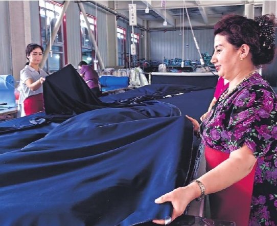 本站按公开材料组织页面