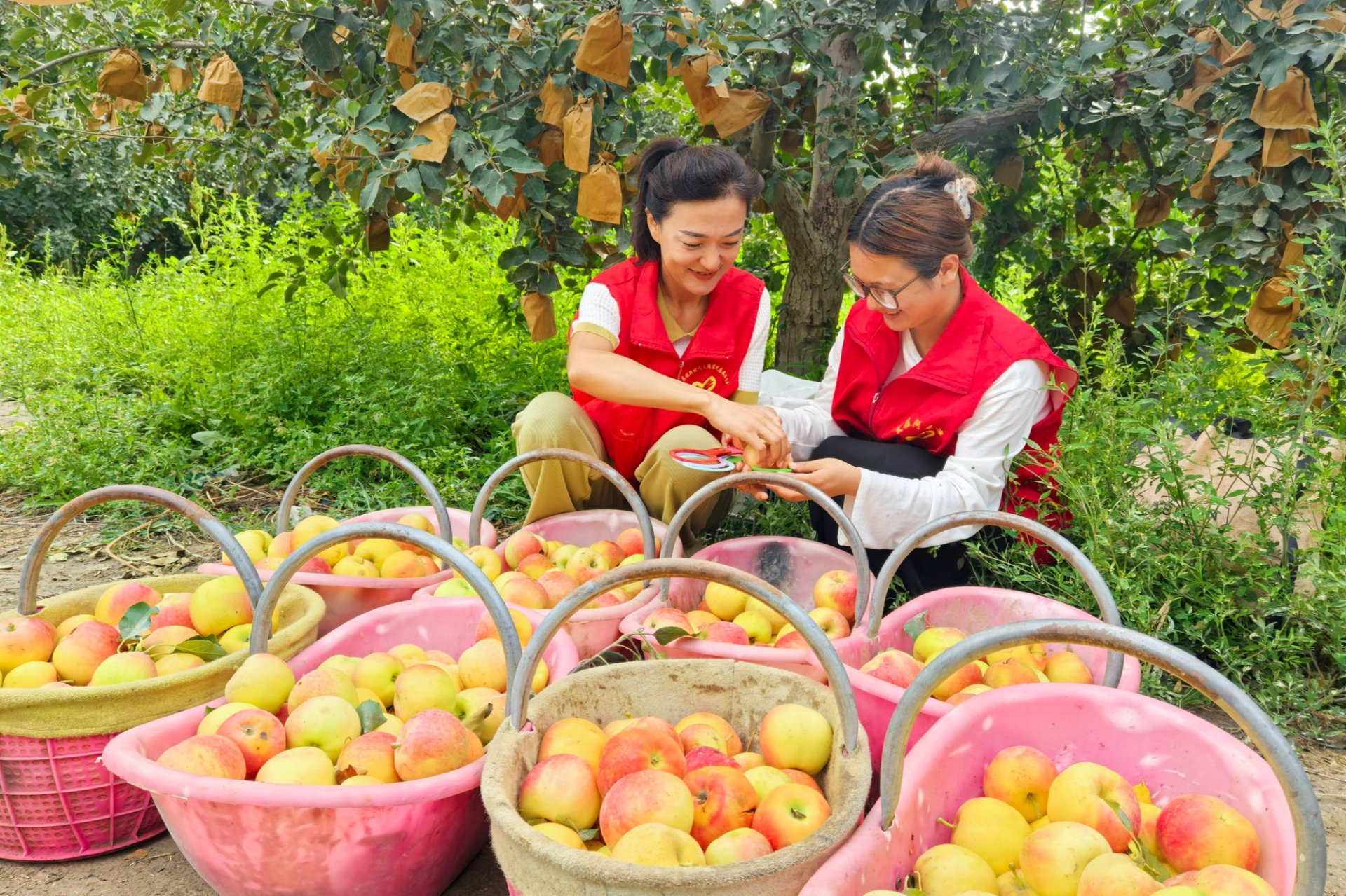 每日一习话