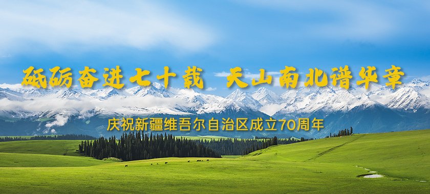 其中有乒乓球